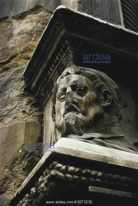 : Acid Rain Damage, Florence, Italy : Acid Rain Damage, Florence, Italy