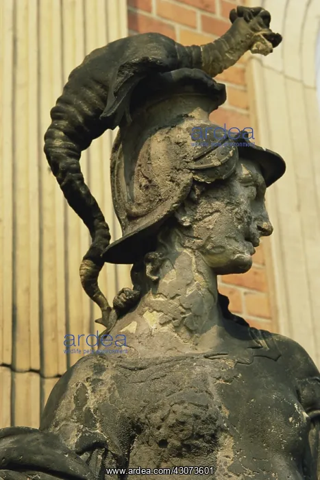 : Acid Rain Damage, Germany : Acid Rain Damage, Germany