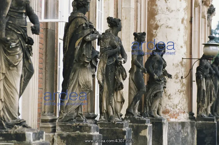 : Acid Rain Damage, New Palace, Germany : Acid Rain Damage, New Palace, Germany