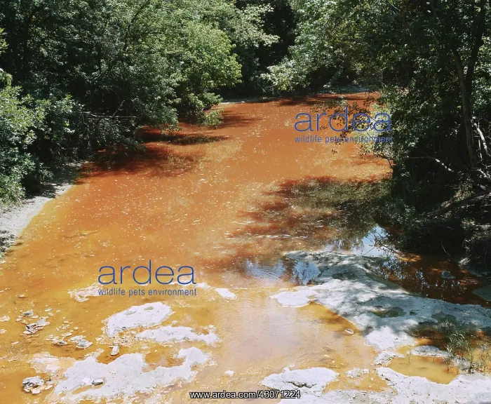 : Acid mine waste : Acid mine waste
