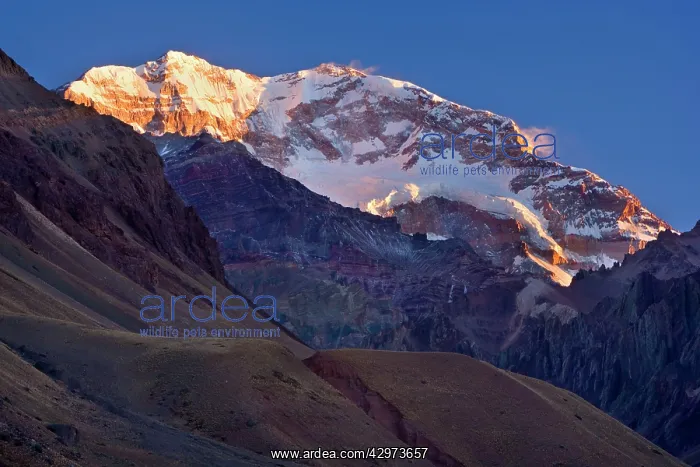 : Aconcagua - at sunrise - glacier covered flank : Aconcagua - at sunrise - glacier covered flank