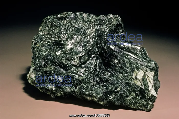: Actinolite from Chester, Vermont : Actinolite from Chester, Vermont