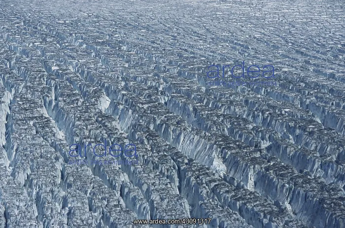 : Active Crevasses : Active Crevasses