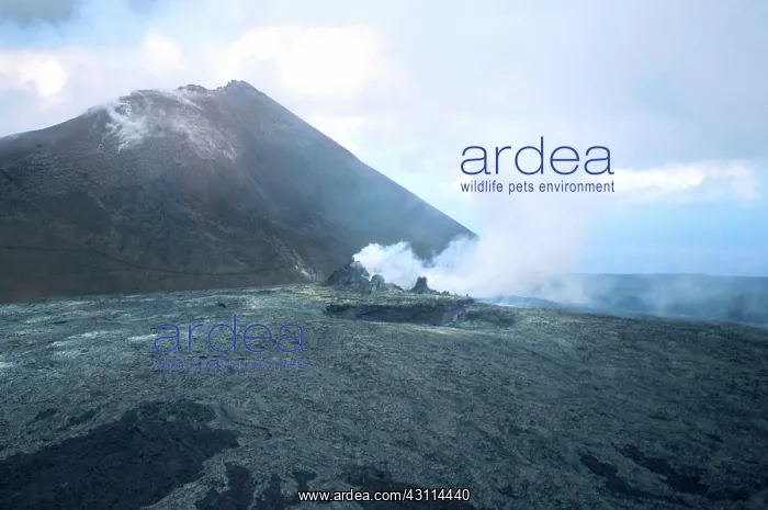 : Active Lava Vent, Kilauea, Hawaii : Active Lava Vent, Kilauea, Hawaii