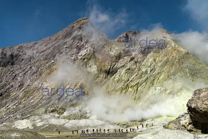 : Active Volcano Whakaari with tourists trekking in : Active Volcano Whakaari with tourists trekking in