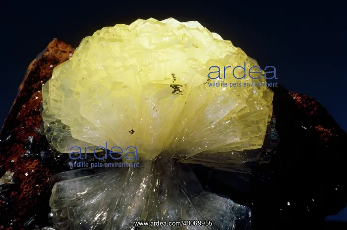 : Adamite from Mapimi, Mexico : Adamite from Mapimi, Mexico