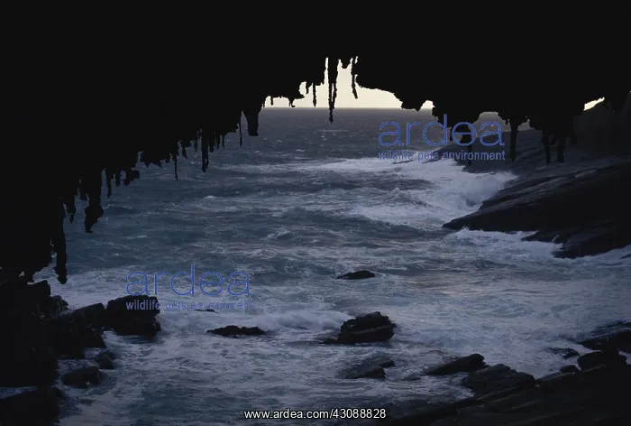 : Admiral's Arch, Australia : Admiral's Arch, Australia