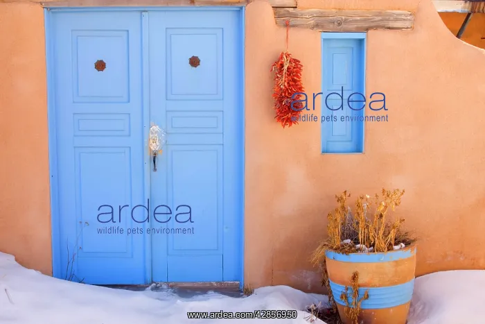 : Adobe style house - simple beige coloured house : Adobe style house - simple beige coloured house