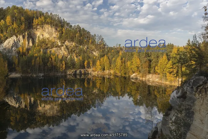 : Adrspasske pond : Adrspasske pond