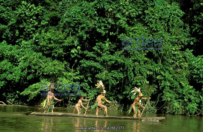 : Adults and child paddling canoe : Adults and child paddling canoe
