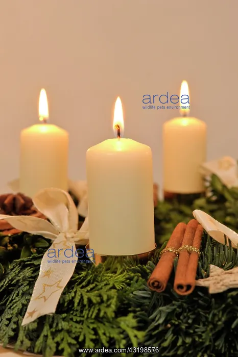 : Advent wreath with three candles burning : Advent wreath with three candles burning