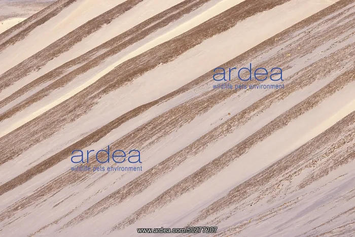 : Adventdalen Structures : Adventdalen Structures