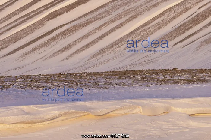 : Adventdalen Structures : Adventdalen Structures
