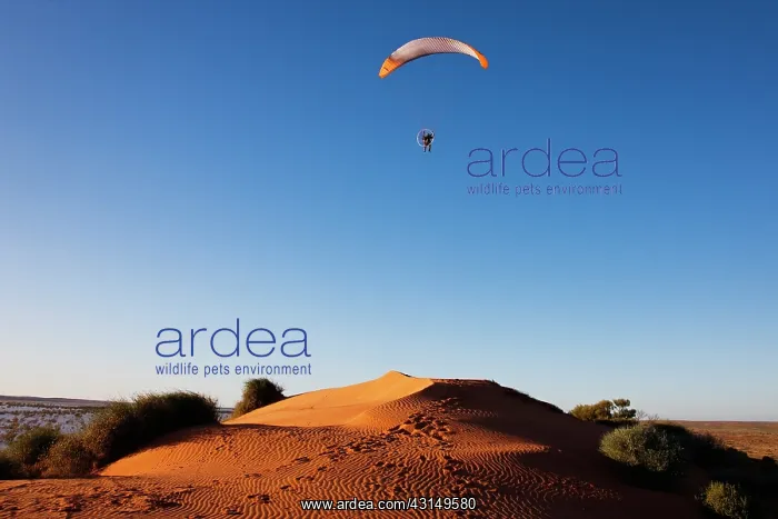 : An adventurous pilot flies a powered paraglider : An adventurous pilot flies a powered paraglider