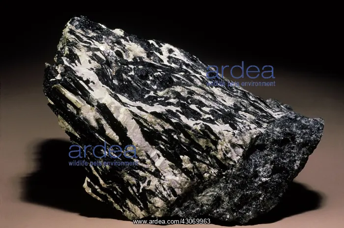 : Aegirine from Mt. Ste. Hilaire, Quebec : Aegirine from Mt. Ste. Hilaire, Quebec