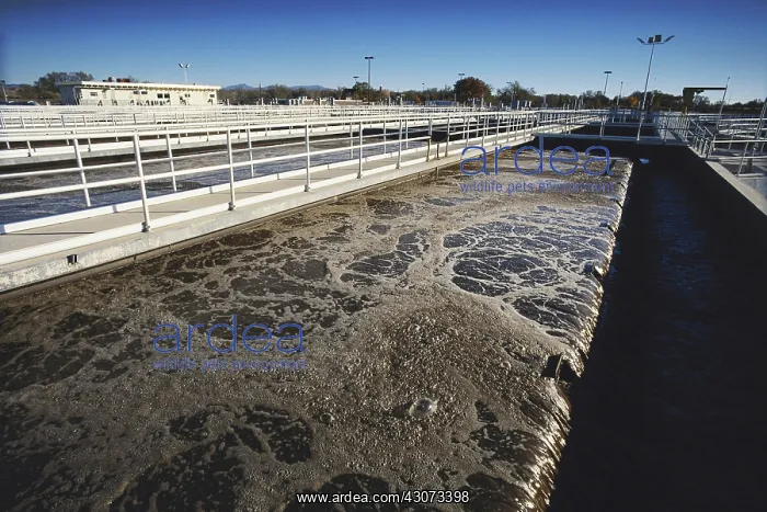 : Aeration Tank at Water Treatment Plant : Aeration Tank at Water Treatment Plant