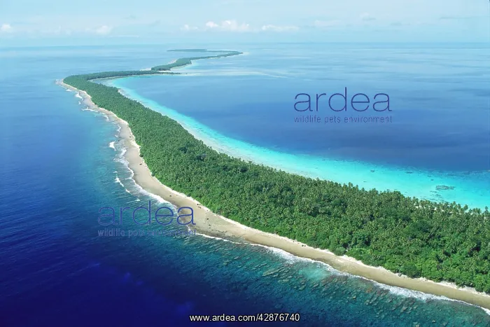 : Aerial - Ant Atoll southwest of Pohnpei, Micronesia : Aerial - Ant Atoll southwest of Pohnpei, Micronesia