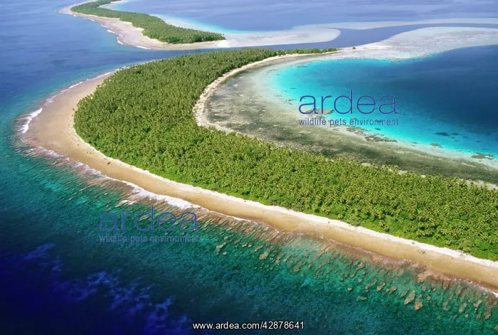 : Aerial - Ant Atoll SW of Pohnpei : Aerial - Ant Atoll SW of Pohnpei