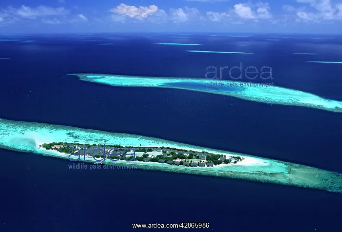  : Aerial - Ari Atoll Maldives