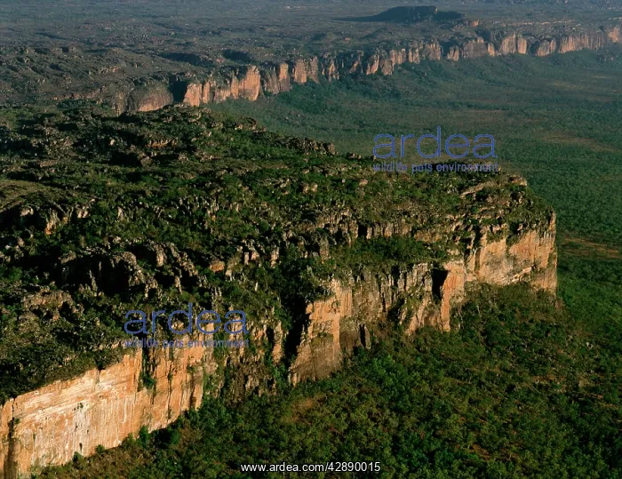 : Aerial - Arnhem Land Escarpment : Aerial - Arnhem Land Escarpment