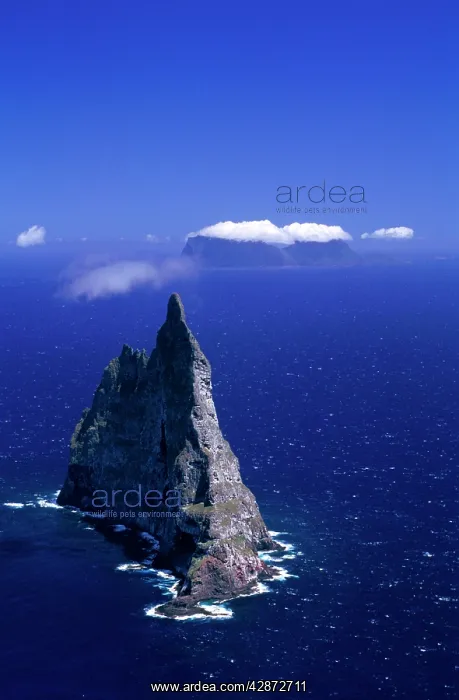 : Aerial - Balls Pyramid worldIs tallest sea stack, 562 metres : Aerial - Balls Pyramid worldIs tallest sea stack, 562 metres