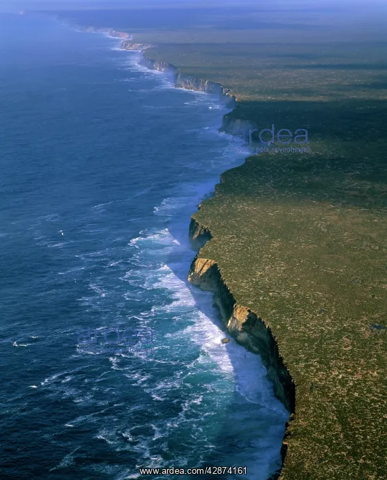  : Aerial - Baxter Cliffs at edge of Nullarbor Plain