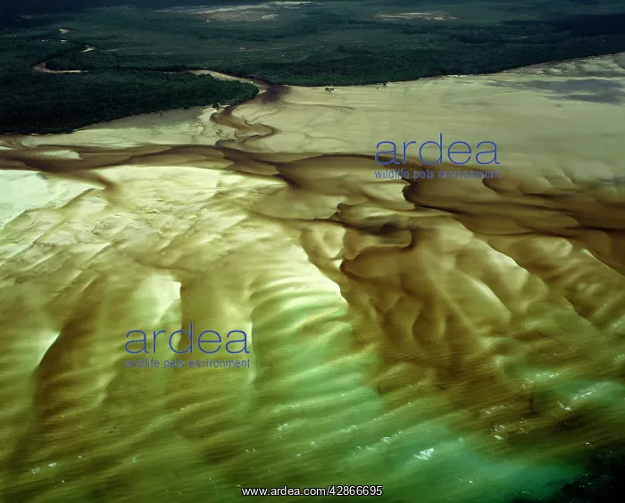 : Aerial - A bay with shallow water revealing patterns : Aerial - A bay with shallow water revealing patterns