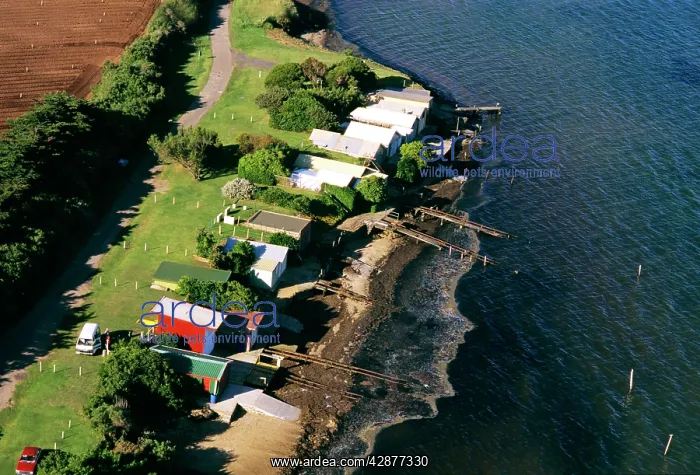 : Aerial - Beach houses - Werribee : Aerial - Beach houses - Werribee