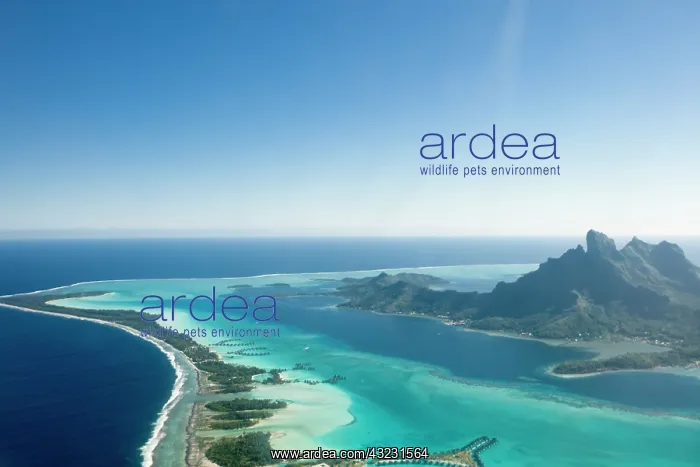 : Aerial of Bora Bora in the Society Islands : Aerial of Bora Bora in the Society Islands