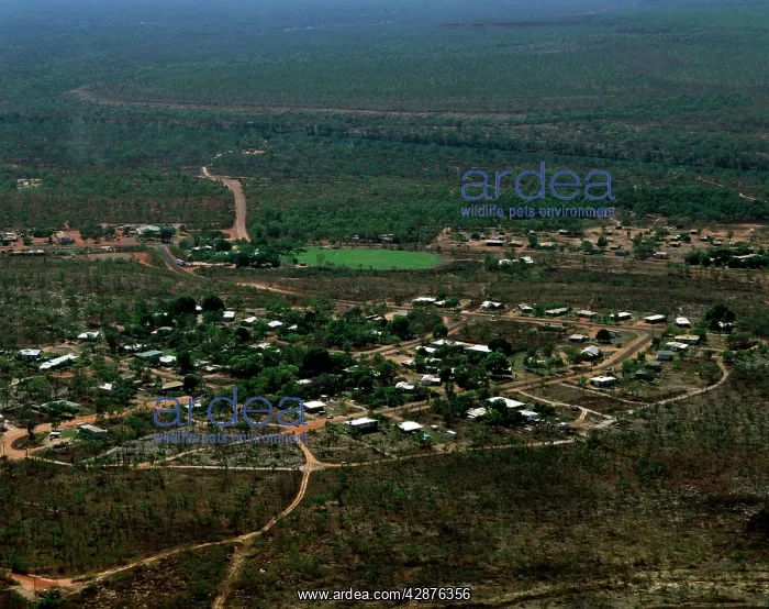 : Aerial - Borroloola Northern Territory, Australia : Aerial - Borroloola Northern Territory, Australia