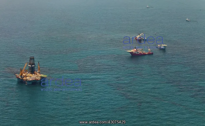 : Aerial of BP Oil Spill Site : Aerial of BP Oil Spill Site