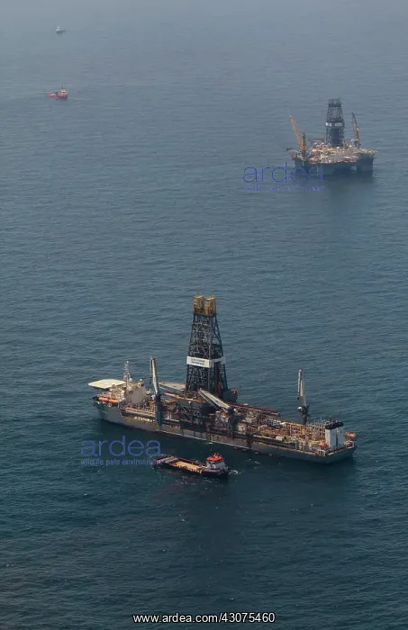 : Aerial of BP Oil Spill Site : Aerial of BP Oil Spill Site