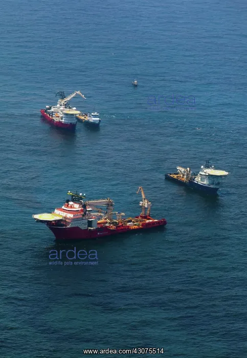 : Aerial of BP Oil Spill Site : Aerial of BP Oil Spill Site