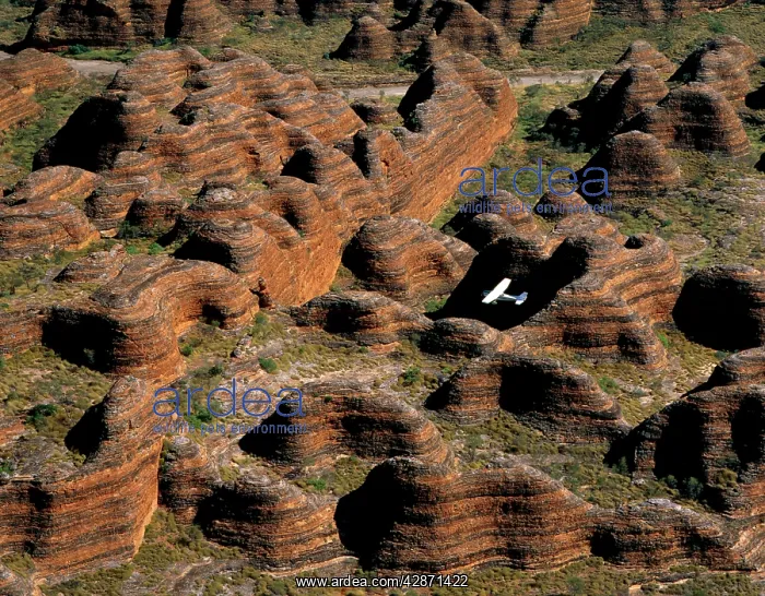 : Aerial - Bungle Bungle Range & plane Sandstone range : Aerial - Bungle Bungle Range & plane Sandstone range
