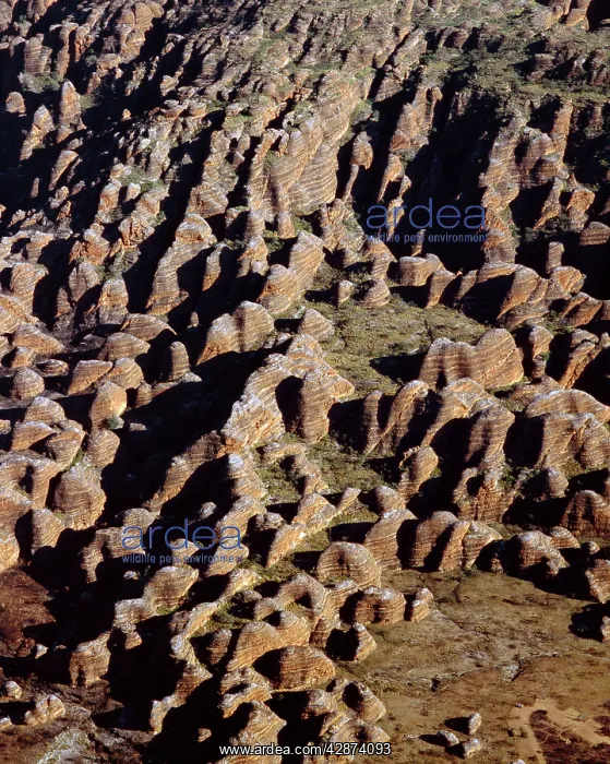: Aerial: Bungle Bungle Range Purnululu National Park : Aerial: Bungle Bungle Range Purnululu National Park