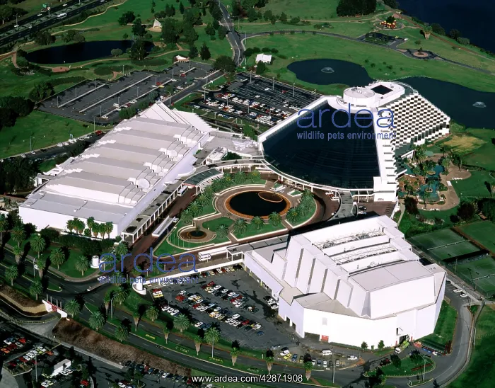 : Aerial - Burwood Casino : Aerial - Burwood Casino