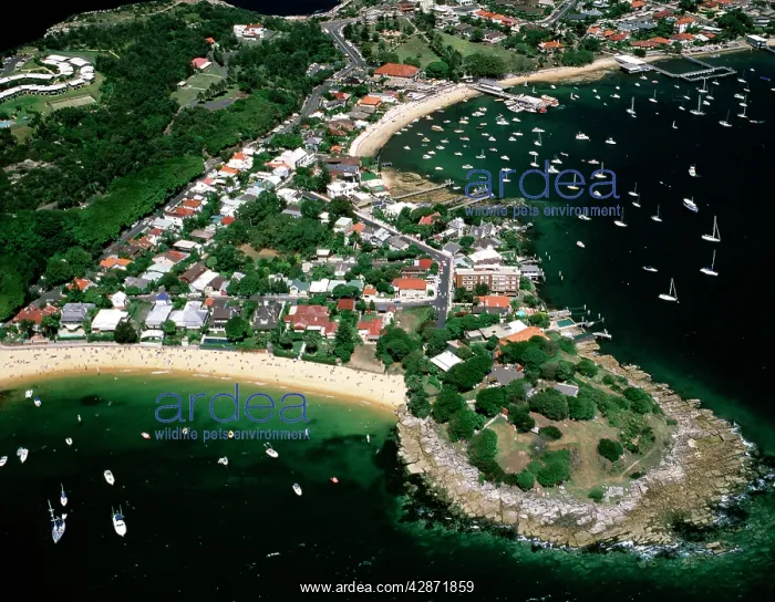 : Aerial - Camp Cove, Laings Point and Watsons Bay : Aerial - Camp Cove, Laings Point and Watsons Bay