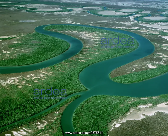 : Aerial - Cape York Peninsula : Aerial - Cape York Peninsula