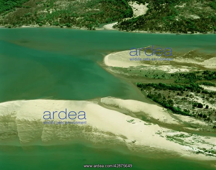 : Aerial - Cape York Peninsula - Gulf of Carpentaria : Aerial - Cape York Peninsula - Gulf of Carpentaria
