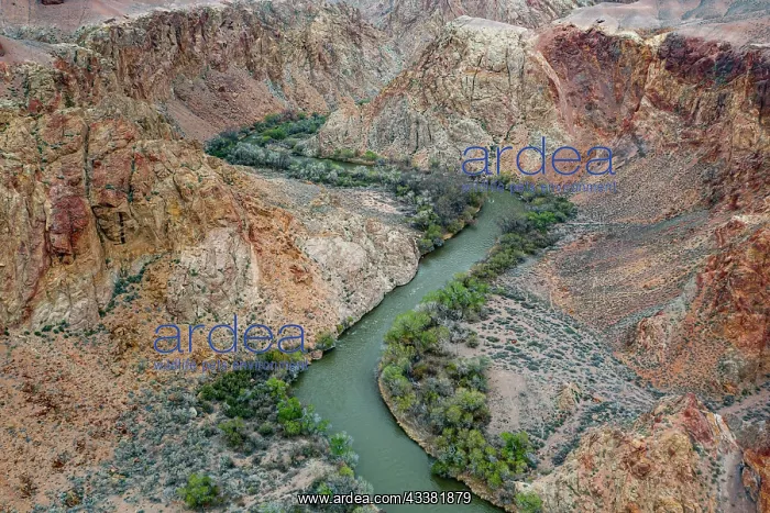 : Aerial of the Charyn canyon, Tian shan mountains : Aerial of the Charyn canyon, Tian shan mountains