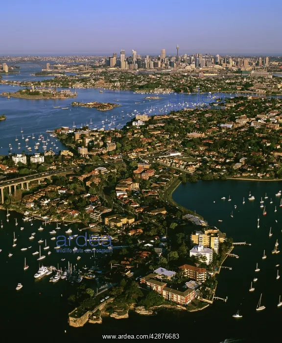: Aerial of city of Sydney with Drummoyne in foreground : Aerial of city of Sydney with Drummoyne in foreground