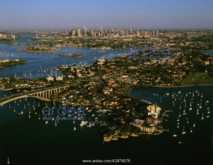 : Aerial - City of Sydney with Drummoyne in foreground Sydney : Aerial - City of Sydney with Drummoyne in foreground Sydney