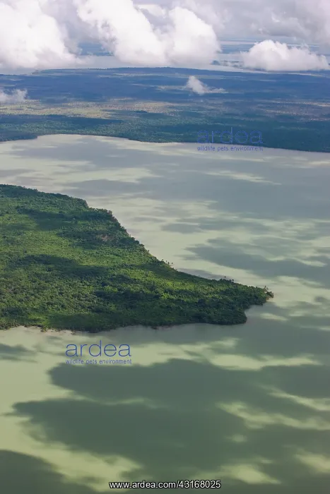 : Aerial of cloud shadows on lake : Aerial of cloud shadows on lake
