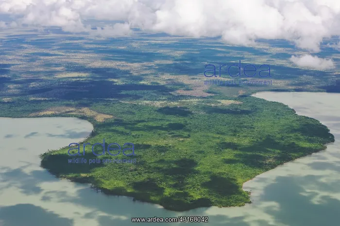 : Aerial of cloud shadows on lake : Aerial of cloud shadows on lake