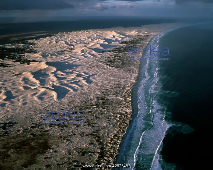 : Aerial - Coastal dunes between Wylie Scarp & Southern : Aerial - Coastal dunes between Wylie Scarp & Southern