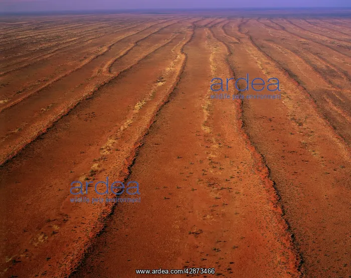 : Aerial - Desert - parallel longitudinal sand dunes : Aerial - Desert - parallel longitudinal sand dunes