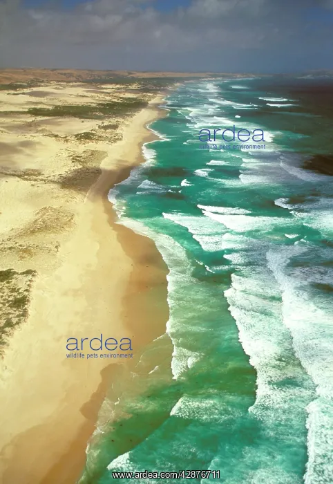 : Aerial - Discovery Bay Coastal Park Victoria : Aerial - Discovery Bay Coastal Park Victoria