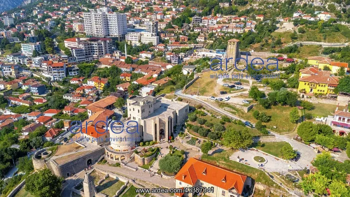: Aerial drone view of Kruje Castle and its fortress, i : Aerial drone view of Kruje Castle and its fortress, i
