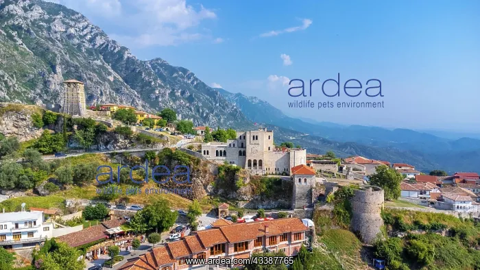 : Aerial drone view of Kruje Castle and its fortress, i : Aerial drone view of Kruje Castle and its fortress, i