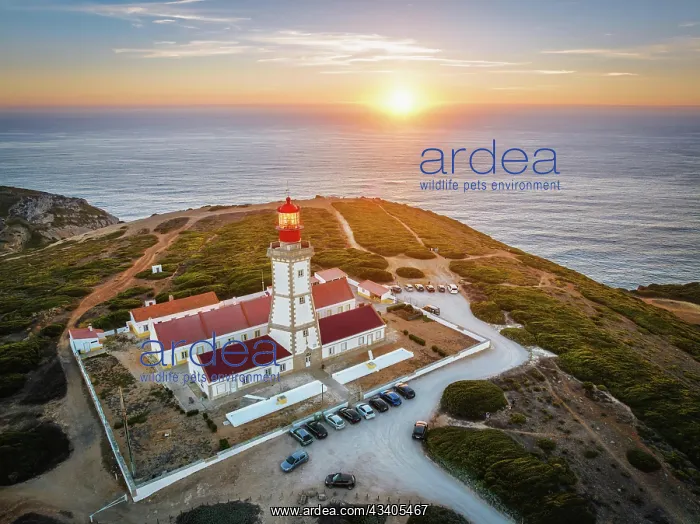 : Aerial drone view of lighthouse on Cabo Espichel c : Aerial drone view of lighthouse on Cabo Espichel c